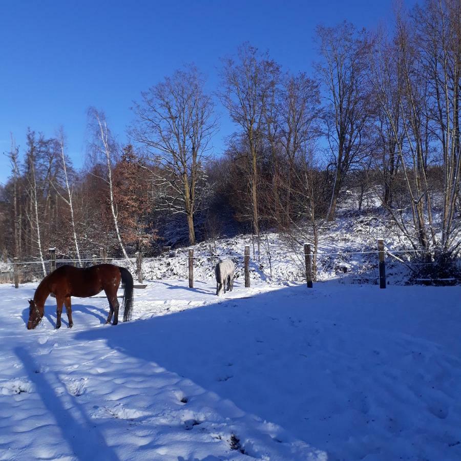 Le Gite Du Cheval Blanc Fraize 外观 照片